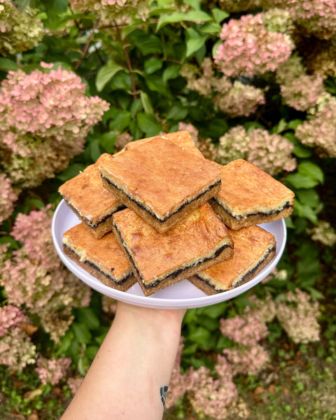 Sunday Picnic Milk and Cookies Bar