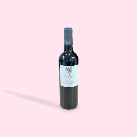 Domaine des 2 Anes Corbieres Fontanilles 2022 (750ml)