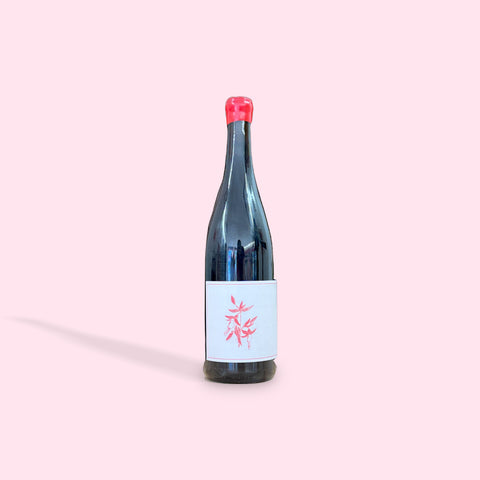 Arnot-Roberts Gamay Noir 2023 (750ml)