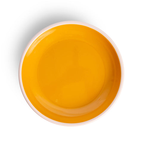 The Get Out x CCH Enamelware Coupe Dinner Plate