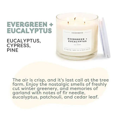 Evergreen+Eucalyptus - 3 Wick Clear Glass Tumbler Soy Candle