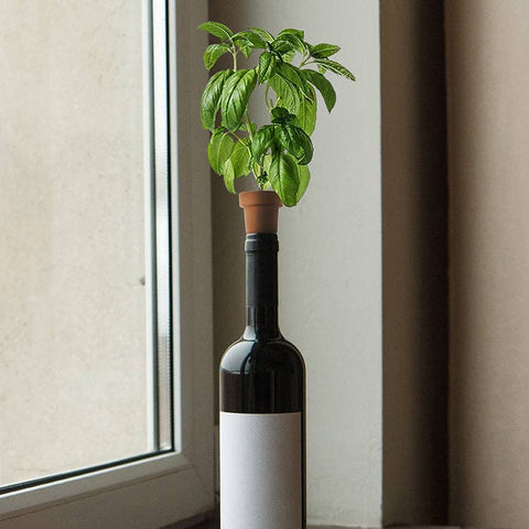 Kikkerland Bottle Top Herb Planters